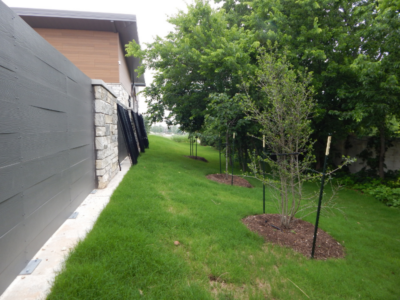 Building Perimeter