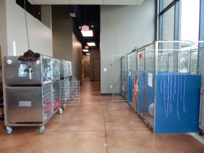 Cage Room