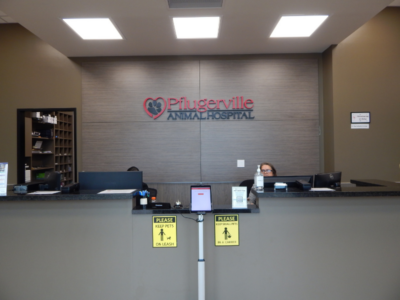 Receptionist Area